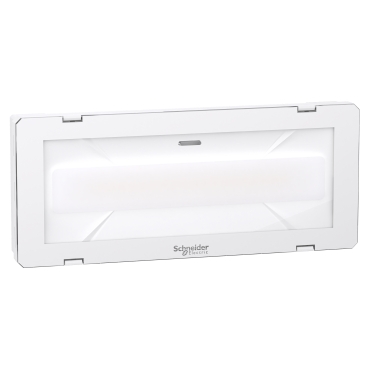 noodverlichting LED  3W 280Lm