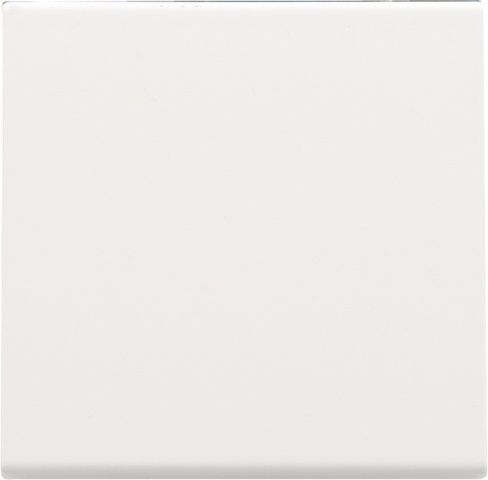 Kit de finition, acier blanc, bouton-poussoir dimmer, 154-31002