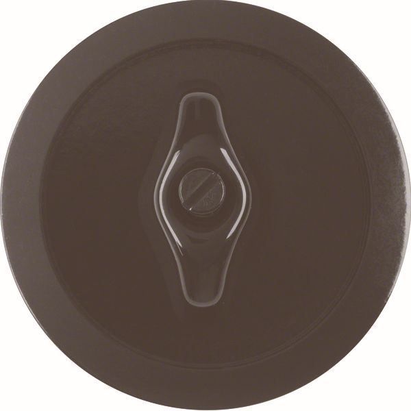 Plaque centrale pour interrupteur rotatif 1930/Glas noir