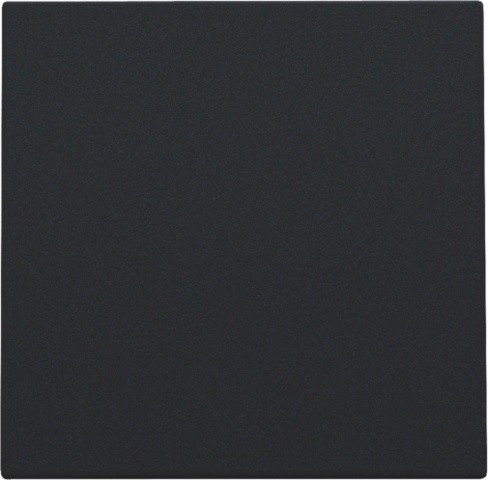 Toets Blindplaat zwart 161-76901