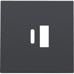 Kit de finition chargeur smart USB-A et USB-C, Anthracite - 122-68002