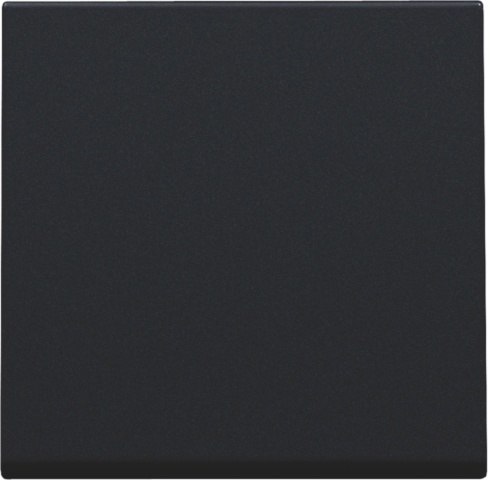 Kit de finition Noir variateur à bouton-poussoir 161-31002