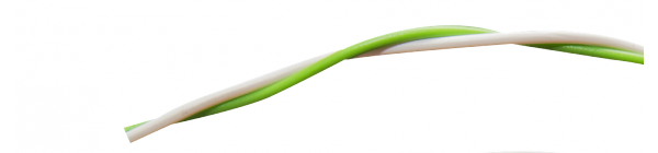 fil de liaison Loxone vert-blanc (5m)